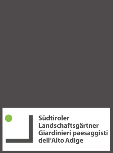 mitarbeiter